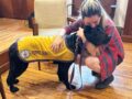 “Historias que dejan huella”, una miniserie para emocionarse con el poder transformador del vínculo entre personas y animales