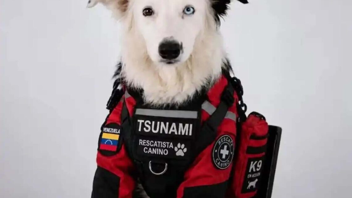 Tsunami, una historia de amor