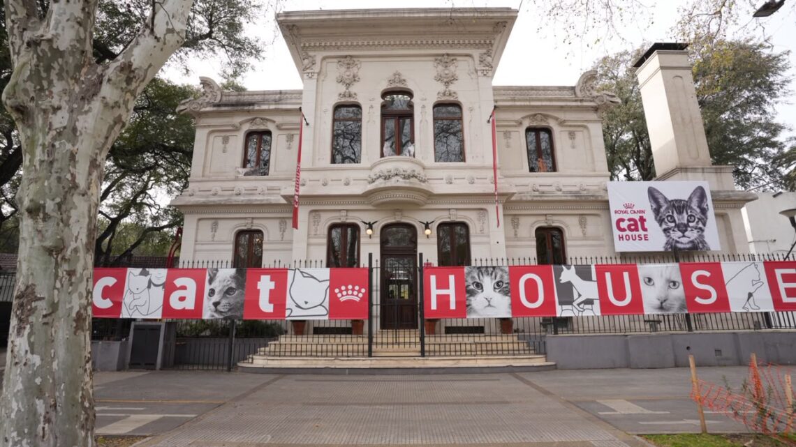 Así se vivió la Cat House de Royal Canin